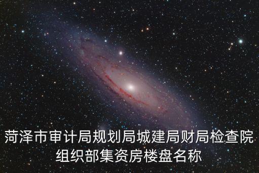 菏澤市審計(jì)局規(guī)劃局城建局財(cái)局檢查院組織部集資房樓盤名稱