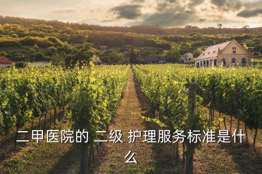 二級護理是什么意思,醫(yī)院一二級護理是什么意思