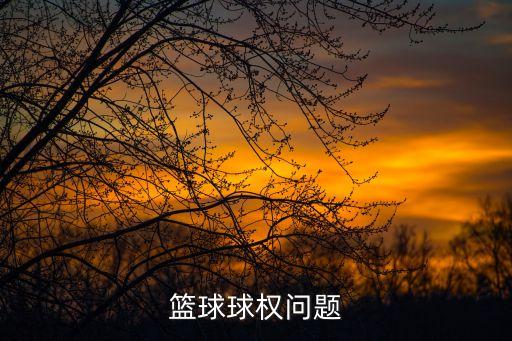 權(quán)規(guī)則，優(yōu)先受償權(quán)的法律規(guī)定