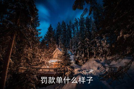 罰款單，罰款單怎么打