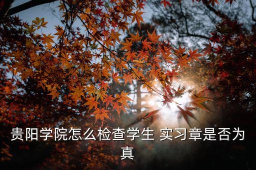 貴陽學(xué)院怎么檢查學(xué)生 實(shí)習(xí)章是否為真