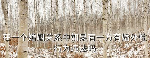 在一個婚姻關(guān)系中如果有一方有婚外性行為違法嗎