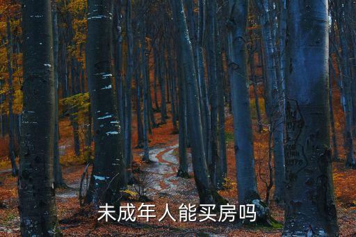 未成年人能買房嗎