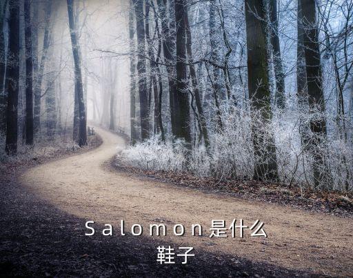 冠軍時(shí)刻是啥牌子，S a l o m o n 是什么鞋子