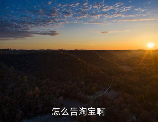 怎么告淘寶啊