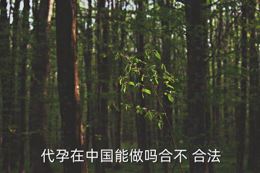 代孕合法嗎,試管代懷生子合法嗎