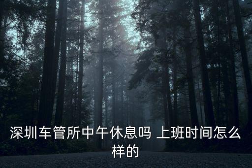 深圳車管所中午休息嗎 上班時(shí)間怎么樣的