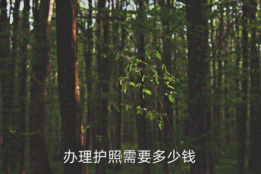 辦理護(hù)照需要多少錢