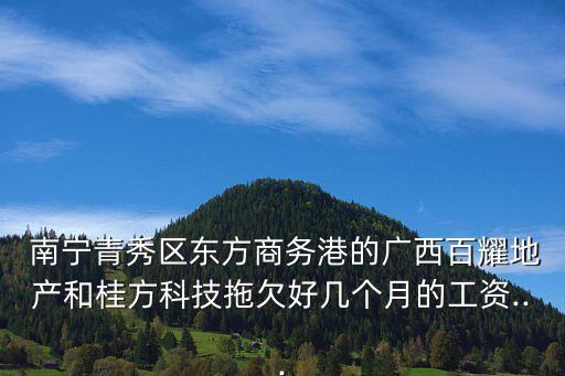  南寧青秀區(qū)東方商務(wù)港的廣西百耀地產(chǎn)和桂方科技拖欠好幾個月的工資...