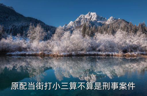 原配當(dāng)街打小三算不算是刑事案件