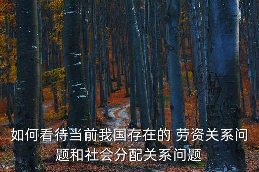 如何看待當前我國存在的 勞資關系問題和社會分配關系問題