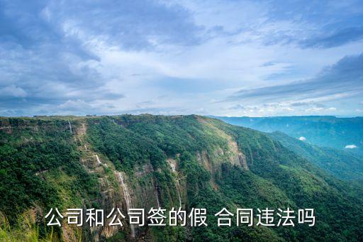 公司和公司簽的假 合同違法嗎