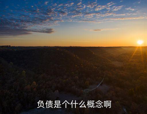 什么是負(fù)債