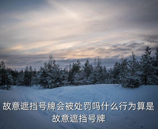 遮擋號(hào)牌，故意遮擋機(jī)動(dòng)車號(hào)牌怎樣處罰