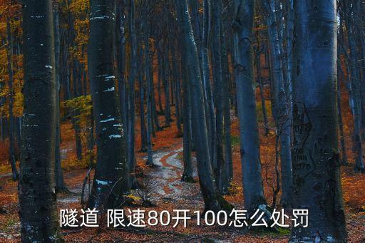  隧道 限速80開100怎么處罰