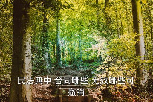  民法典中 合同哪些 無效哪些可 撤銷