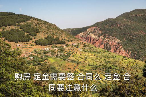 民法典定金合同,定金合同有法律效力嗎