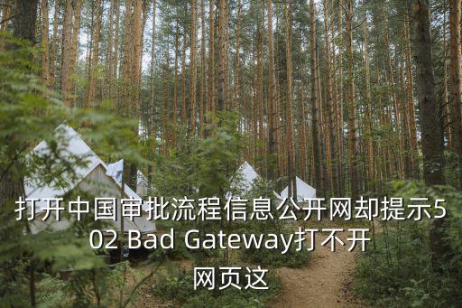 打開中國審批流程信息公開網(wǎng)卻提示502 Bad Gateway打不開網(wǎng)頁這