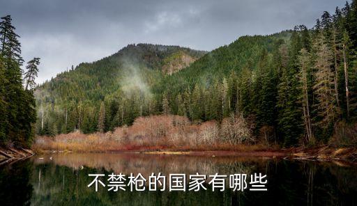 英國持槍合法嗎，歐洲有哪些國家允許平民合法持槍
