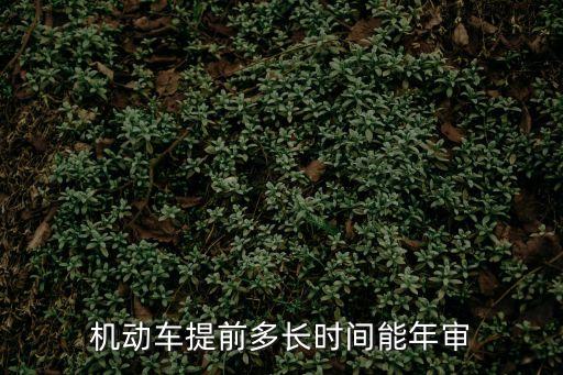 審車可以提前多長時間，車輛年審到底可以提前幾個月辦理
