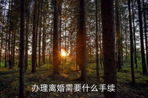 離婚需要，離婚需要什么手續(xù)及證件