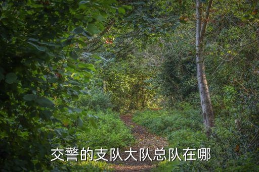 交警中隊