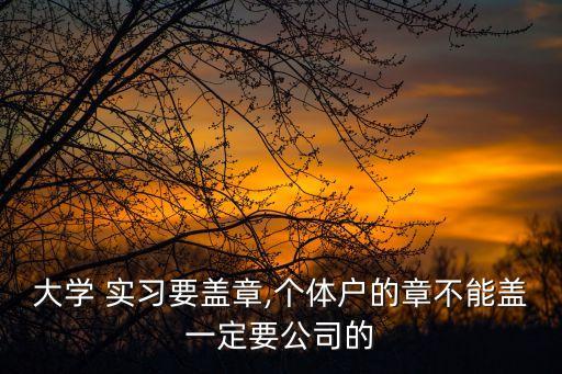 實習章