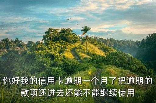 你好我的信用卡逾期一個(gè)月了把逾期的款項(xiàng)還進(jìn)去還能不能繼續(xù)使用