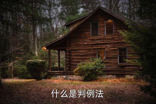 成文法和判例法，判例法是不是成文法