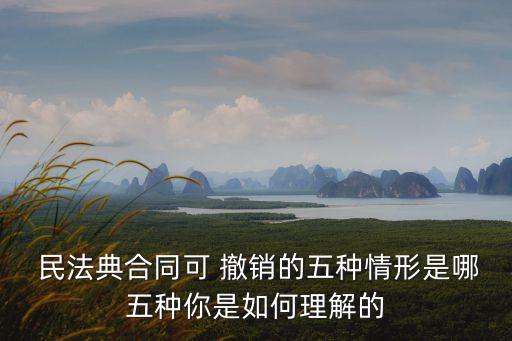  民法典合同可 撤銷的五種情形是哪五種你是如何理解的