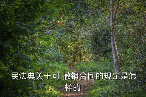 民法典欺詐脅迫無效合同撤銷,欺詐合同屬于無效合同嗎民法典
