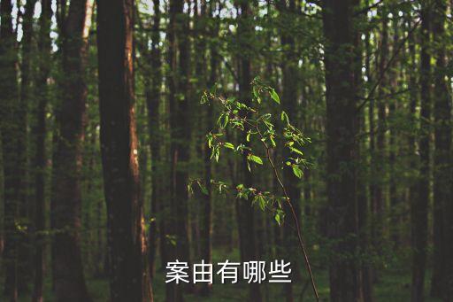 案由 勞動糾紛,勞動糾紛的案由怎么寫