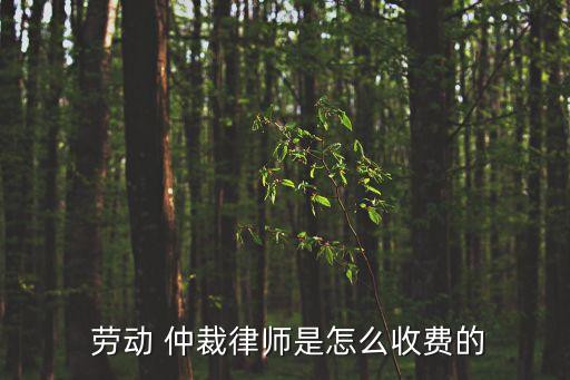法律咨詢免費(fèi)勞動(dòng)仲裁,南京勞動(dòng)仲裁法律咨詢熱線
