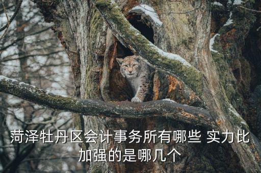 菏澤牡丹區(qū)會(huì)計(jì)事務(wù)所有哪些 實(shí)力比加強(qiáng)的是哪幾個(gè)