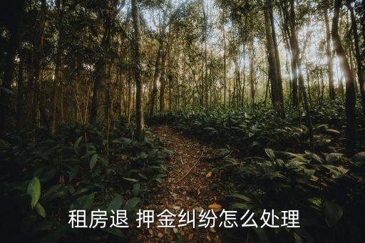 關(guān)于租房押金的法律問題及答案