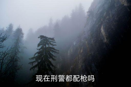 警察都有槍嗎，普通派出所里都會給警察配槍嗎