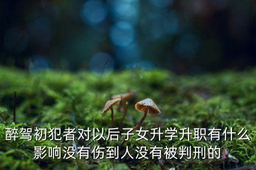 醉駕影響下一代嗎，醉駕入刑后對子女有甚么影響