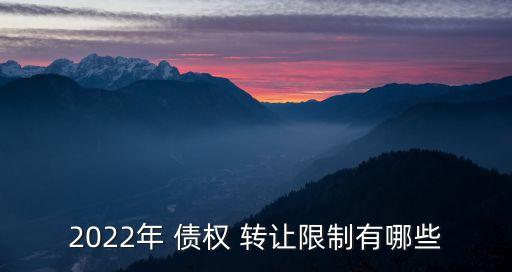 2022年 債權 轉讓限制有哪些