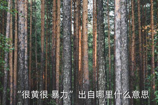 “很黃很 暴力”出自哪里什么意思