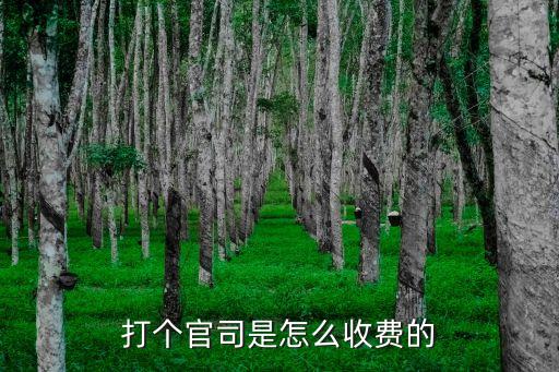 打個(gè)官司是怎么收費(fèi)的
