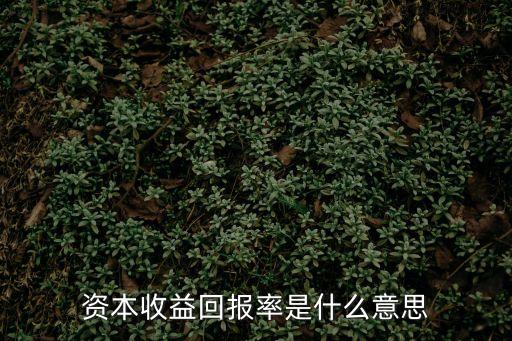 回報率是什么意思，股票資產(chǎn)回報率是什么意思