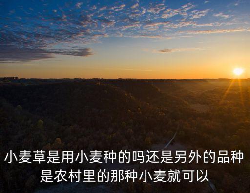濟麥44，濟麥44能打節(jié)節(jié)麥除草劑嗎