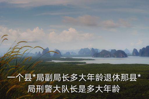 警察多少歲退休，一個縣*局副局長多大年齡退休那縣*局刑警大隊長是多大年齡