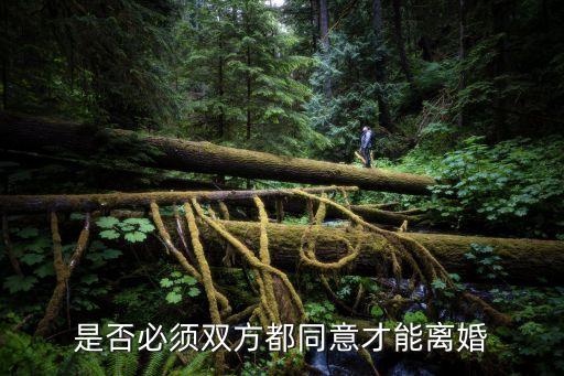 離婚要雙方同意嗎，是否必須雙方都同意才能離婚