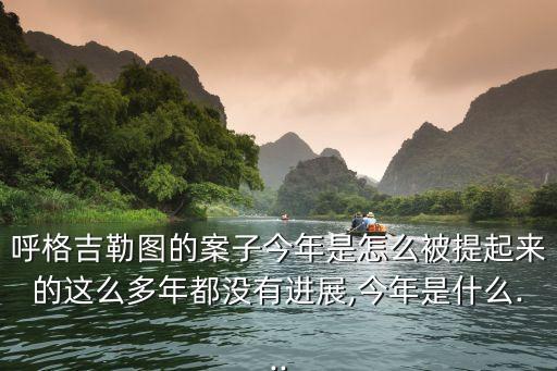 呼格吉勒圖的案子今年是怎么被提起來的這么多年都沒有進展,今年是什么...