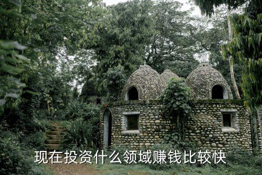 投資領域，現(xiàn)在投資什么領域賺錢比較快