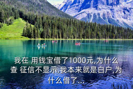 用錢寶上征信嗎,古今用錢寶上征信嗎