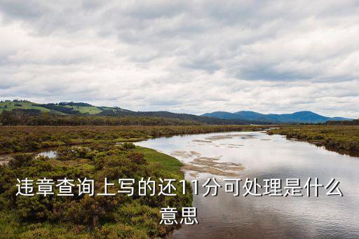 您還可以處理11分違法什么意思，您還可以處理11分的違法記錄是什么意思