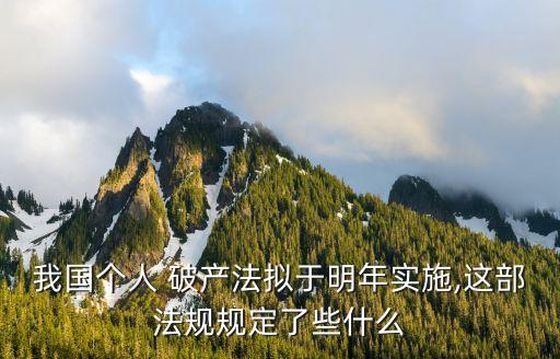 個人破產(chǎn)法