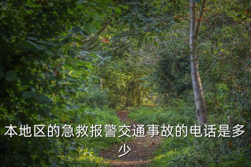 本地區(qū)的急救報警交通事故的電話是多少